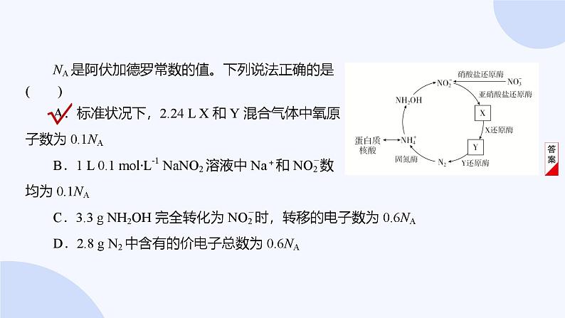 题型4  有关NA的综合考查第7页