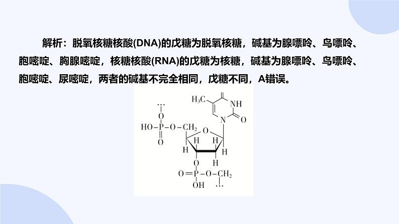 题型10  生物大分子  合成高分子第8页