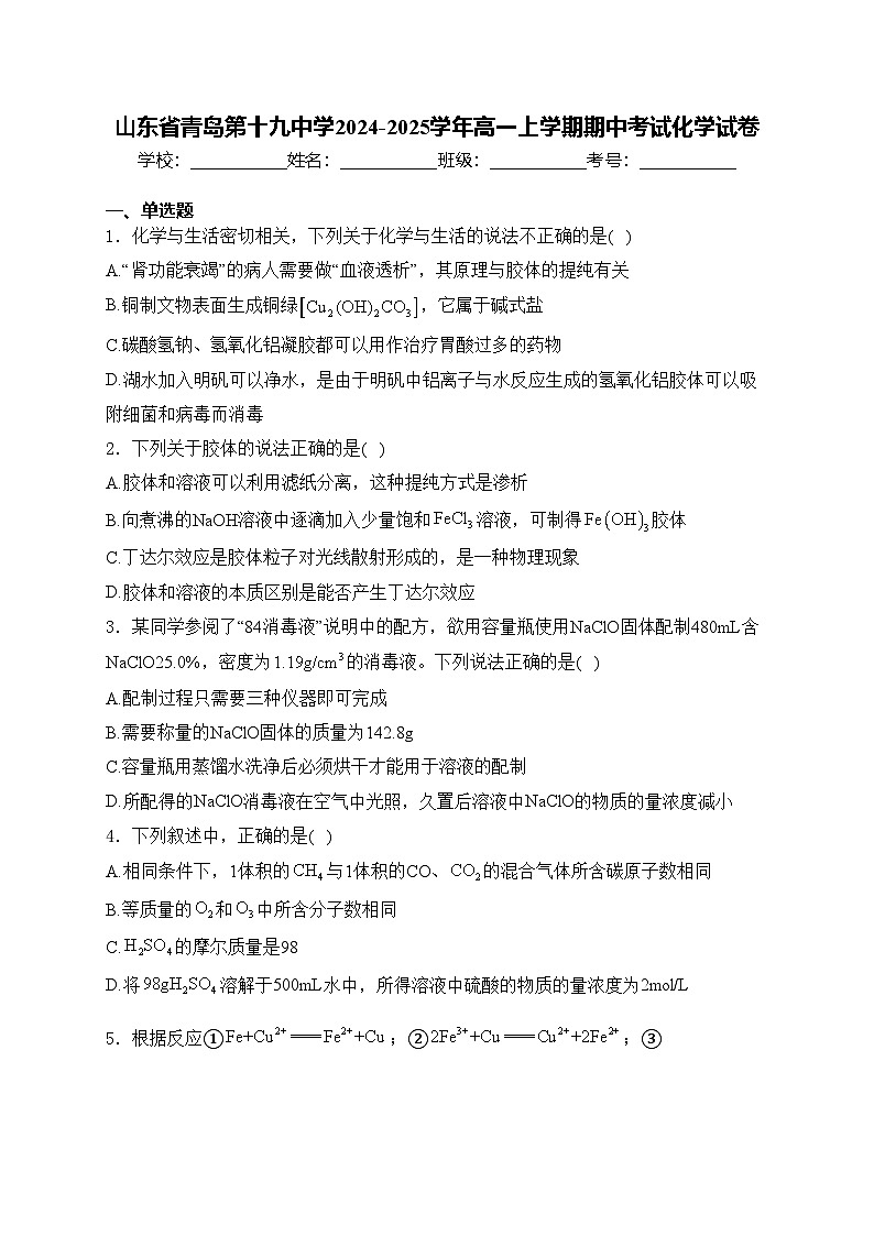 山东省青岛第十九中学2024-2025学年高一上学期期中考试化学试卷(含答案)第1页