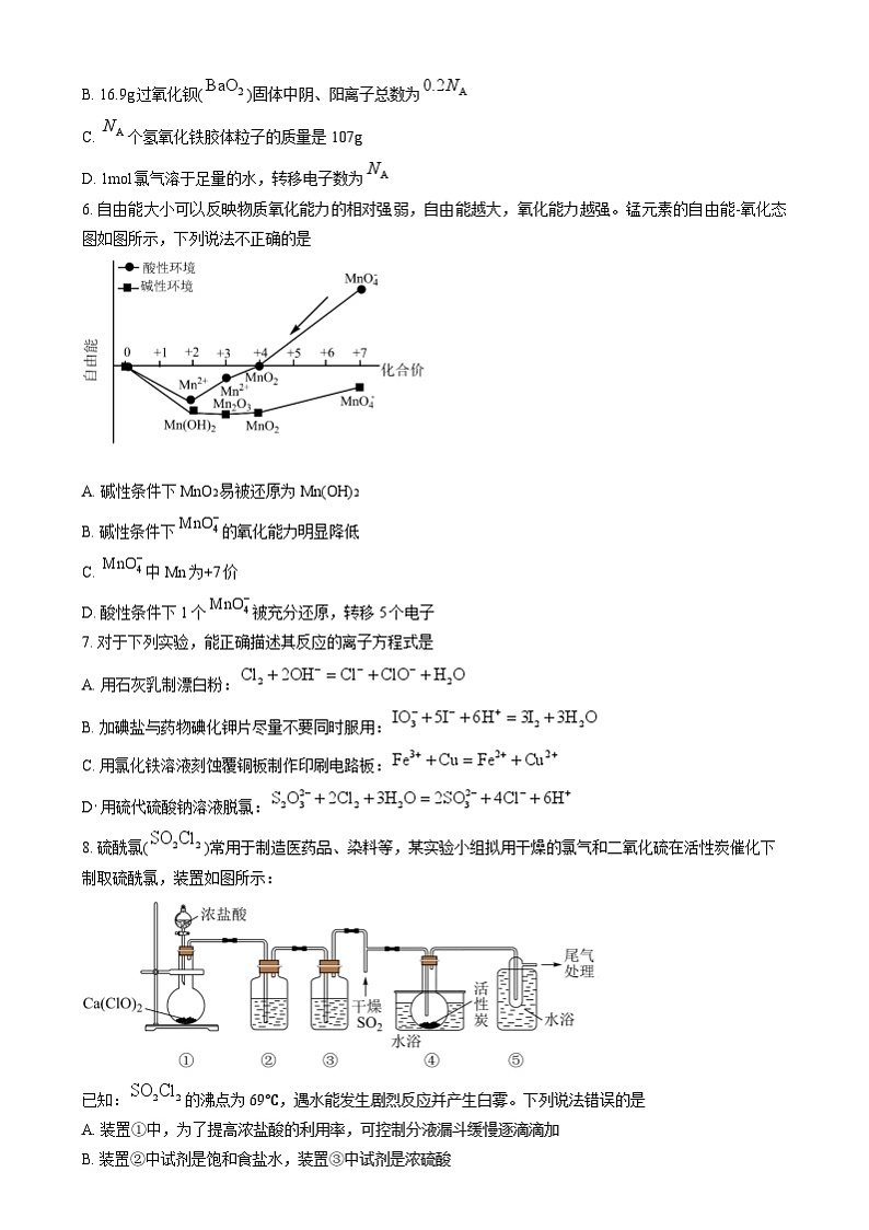 湖南省衡阳市八中2024-2025学年高一上学期第三次月考化学试卷Word版无答案第2页
