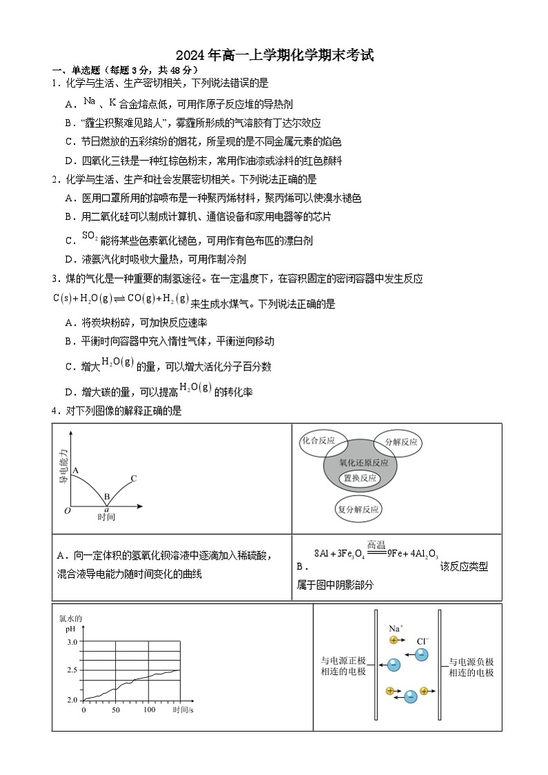 湖南省岳阳市岳阳县第一中学2024-2025学年高一上学期1月期末考试化学试卷（Word版附答案）第1页