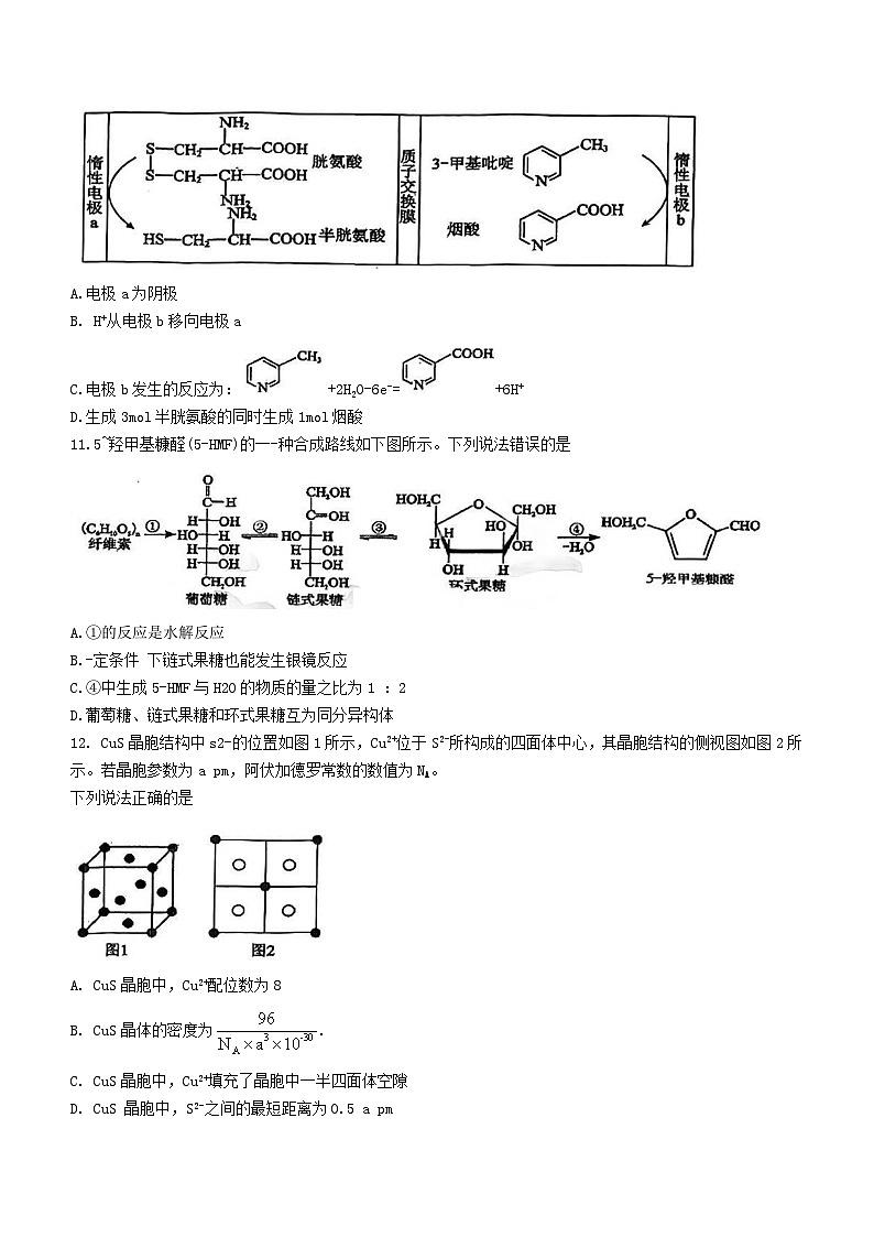 湖北省2023_2024学年高三化学上学期12月联考试题第3页