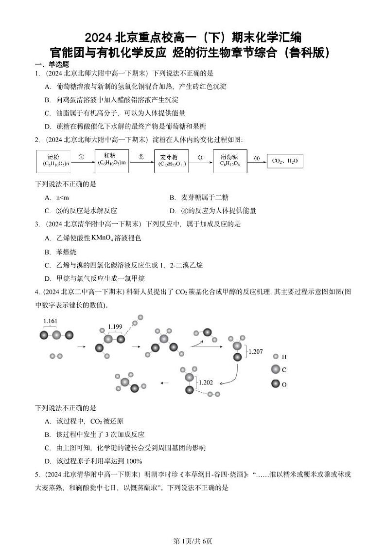 2024北京重点校高一（下）期末真题化学汇编：官能团与有机化学反应 烃的衍生物章节综合（鲁科版）第1页