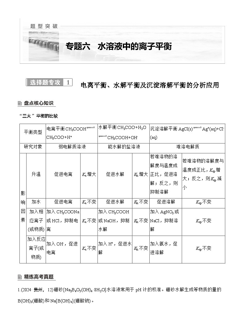 专题六　选择题专攻1　电离平衡、水解平衡及沉淀溶解平衡的分析应用--2025年高考化学大二轮专题复习（学生版）第1页