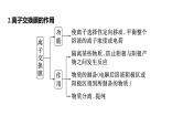 专题四　选择题专攻3　电化学中的多室、多池装置--2025年高考化学大二轮专题复习课件+讲义+专练