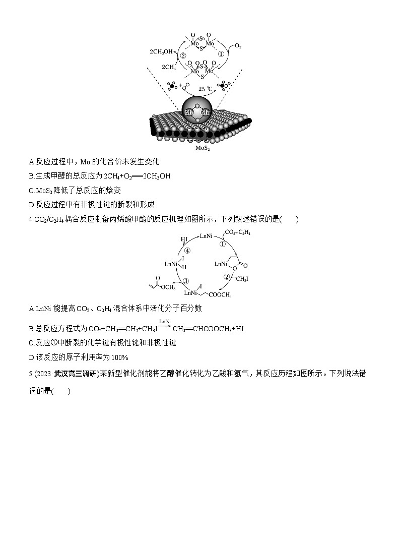 专题五　选择题专攻2　催化机理循环图--2025年高考化学大二轮专题复习（专练）第2页