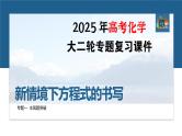 专题一　主观题突破　新情境下方程式的书写--2025年高考化学大二轮专题复习课件+讲义+专练