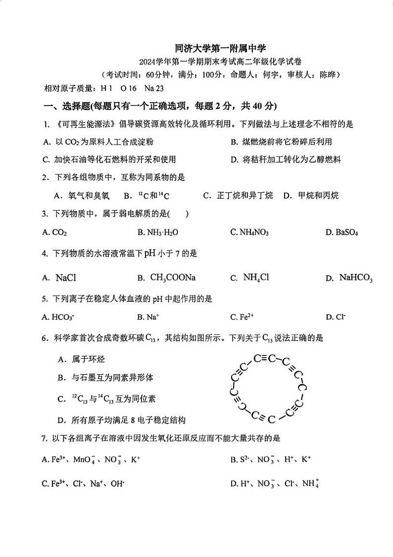 上海市同济大学第一附属中学2024-2025学年高二上学期期末考试 化学试卷第1页
