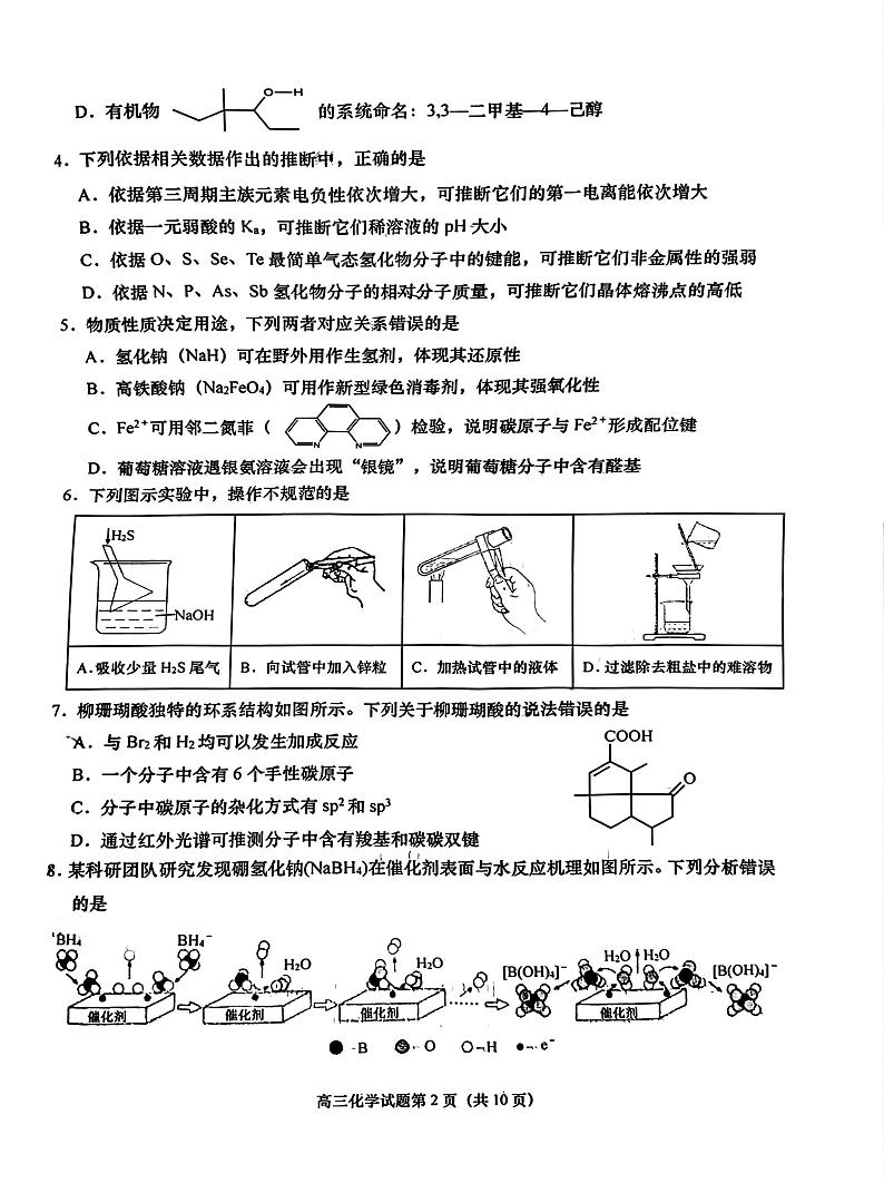 山东省青岛市第十五中学2024-2025学年高三上学期期末考试化学试卷第2页