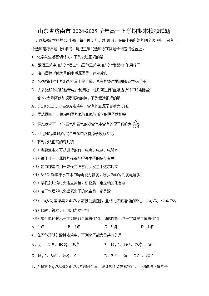 2024~2025学年山东省济南市高一上学期期末模拟考试化学试卷（解析版）第1页