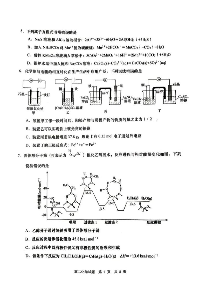 化学-山东省青岛市2025年高二年级上学期1月调研检测试题第2页