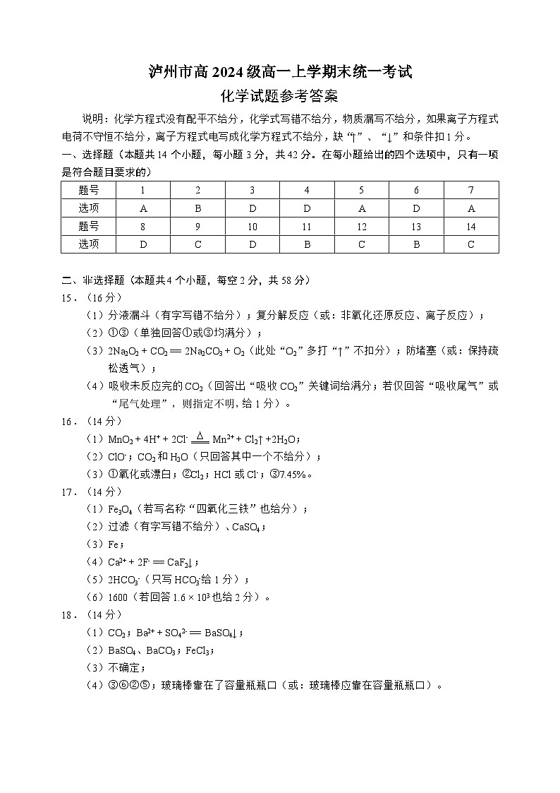 四川省泸州市2024-2025学年高一上学期期末统一考试化学试题（答案）第1页