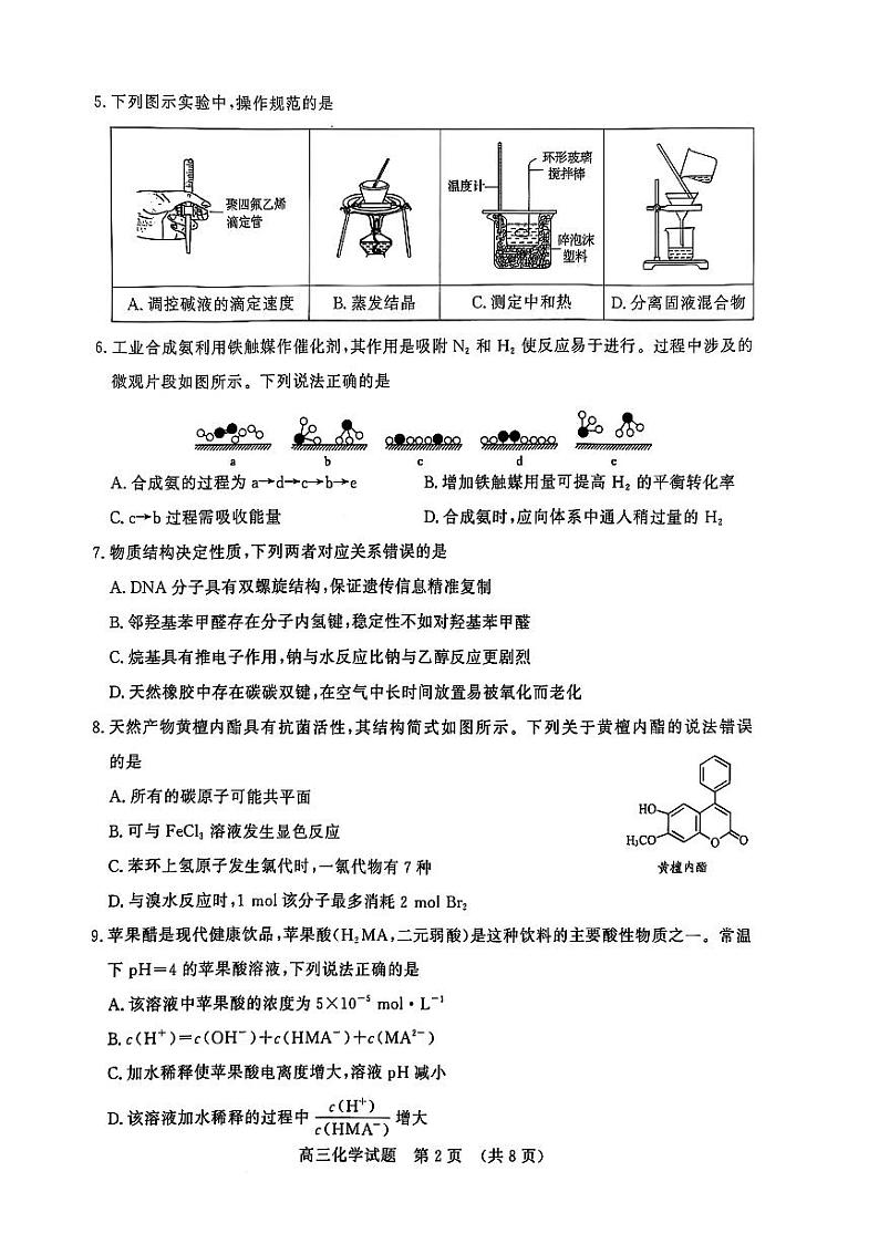 山东省济南市2024-2025学年高三上学期1月期末考试+化学试题 (1)第2页