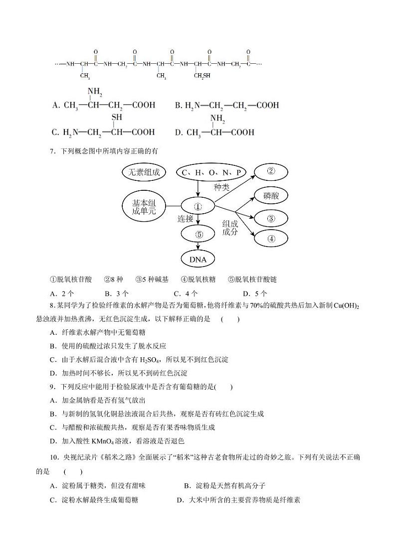考点37 营养物质（好题冲关）（学生版） 备战2024年高考化学一轮复习考点帮（全国通用）第2页