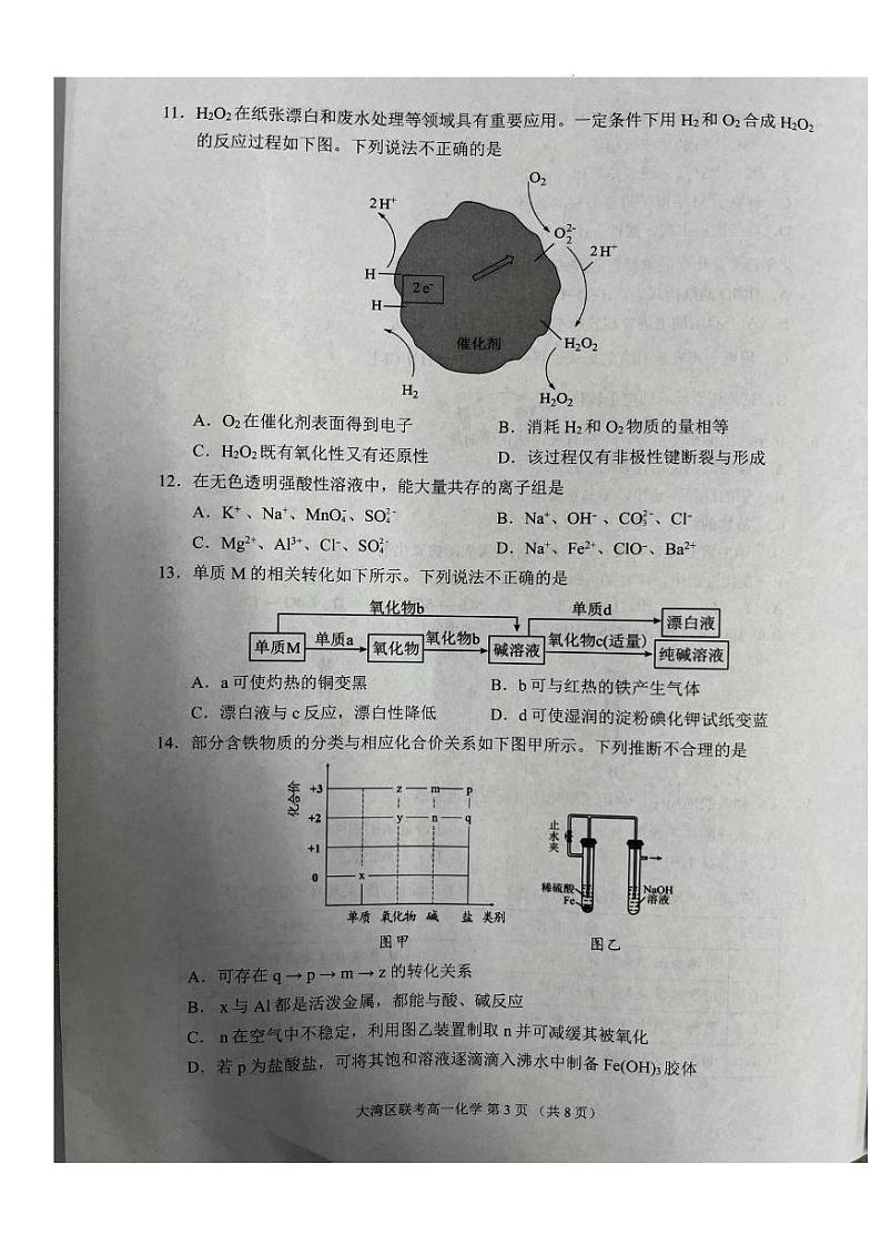 广东2024-2025年高一上学期大湾区期末考试化学试卷+答案第3页