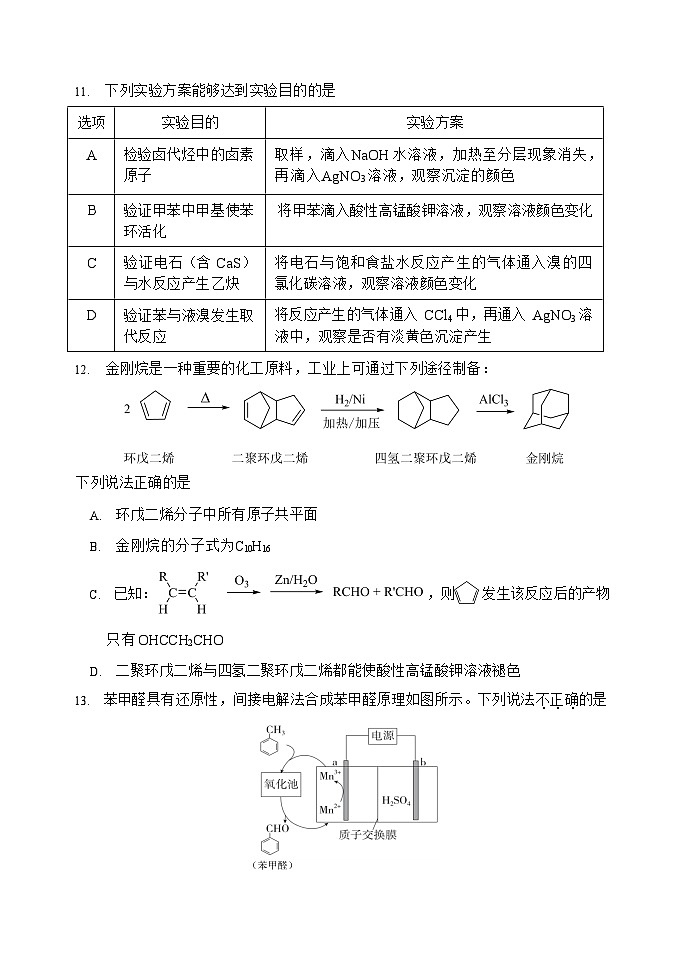 2025北京首都师大附中高二上学期期末化学试卷和参考答案第3页