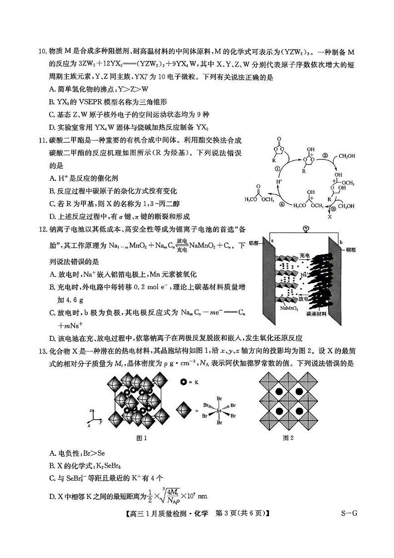 2025届九师联盟高三上学期1月期末化学试题第3页