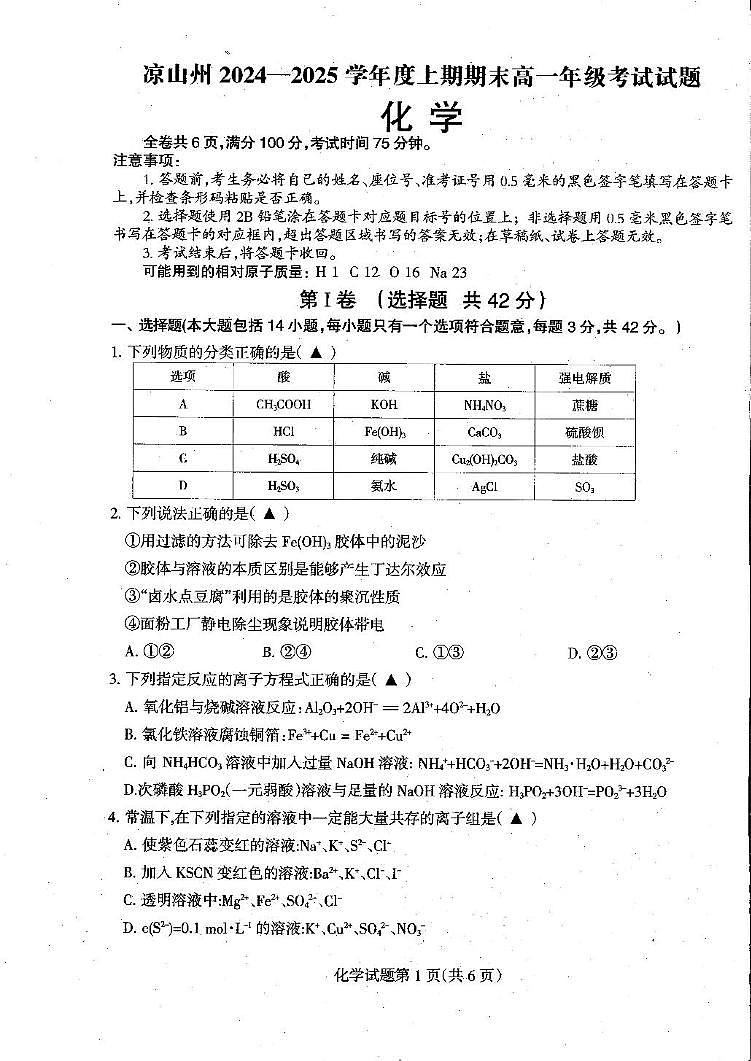四川省凉山州2024-2025学年高一上学期期末考试化学试题第1页
