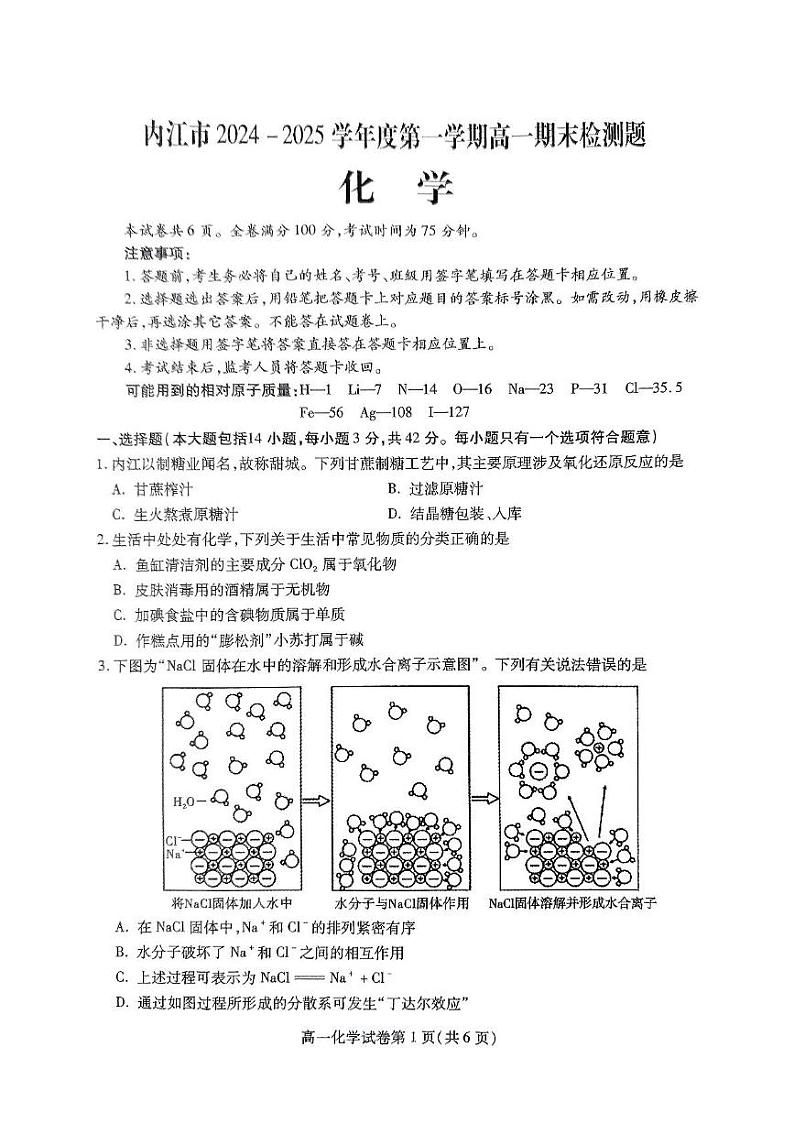 四川省内江市2024-2025学年高一上学期期末检测化学试题第1页