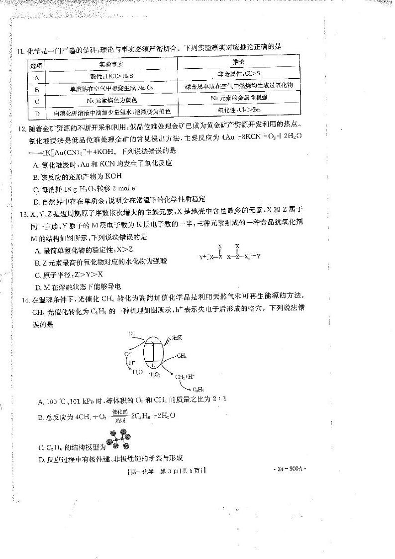 四川省2023_2024学年高一化学上学期1月月考试题pdf第2页
