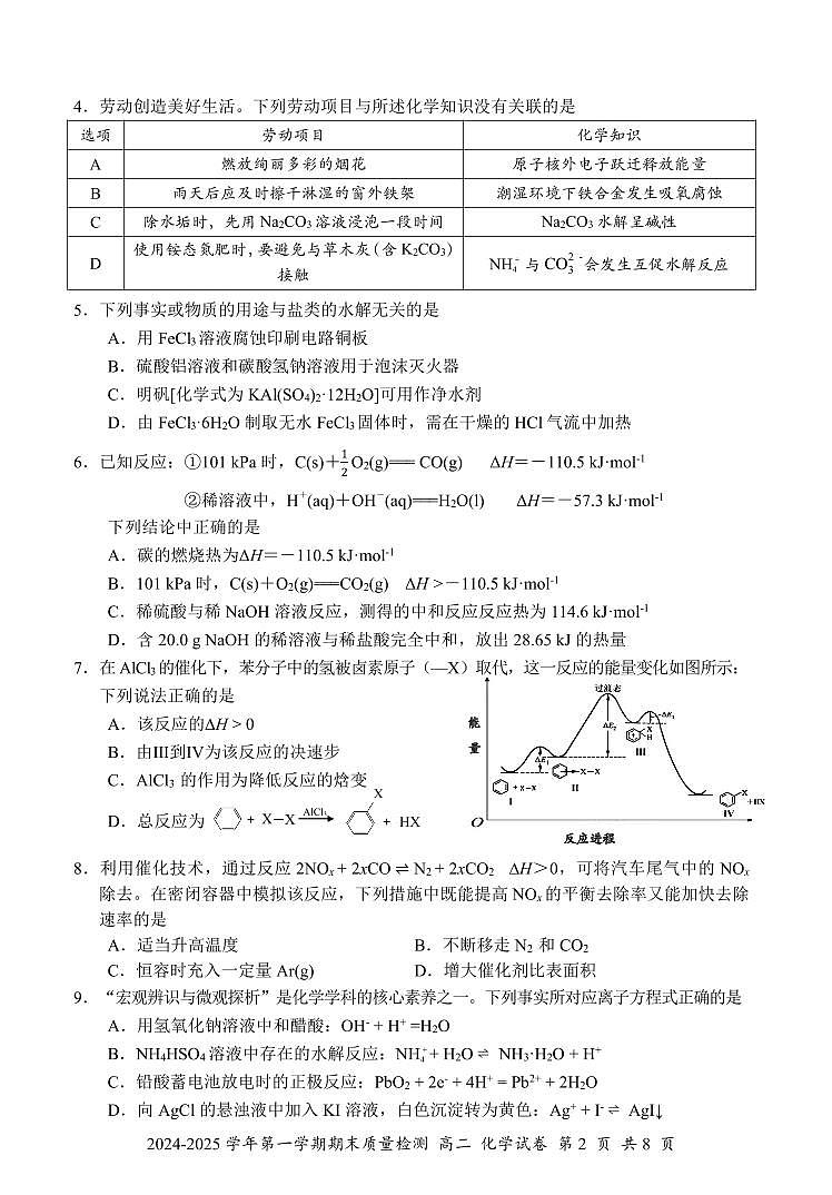 深圳罗湖2024-2025学年高二上学期期末考试化学试题+答案第2页