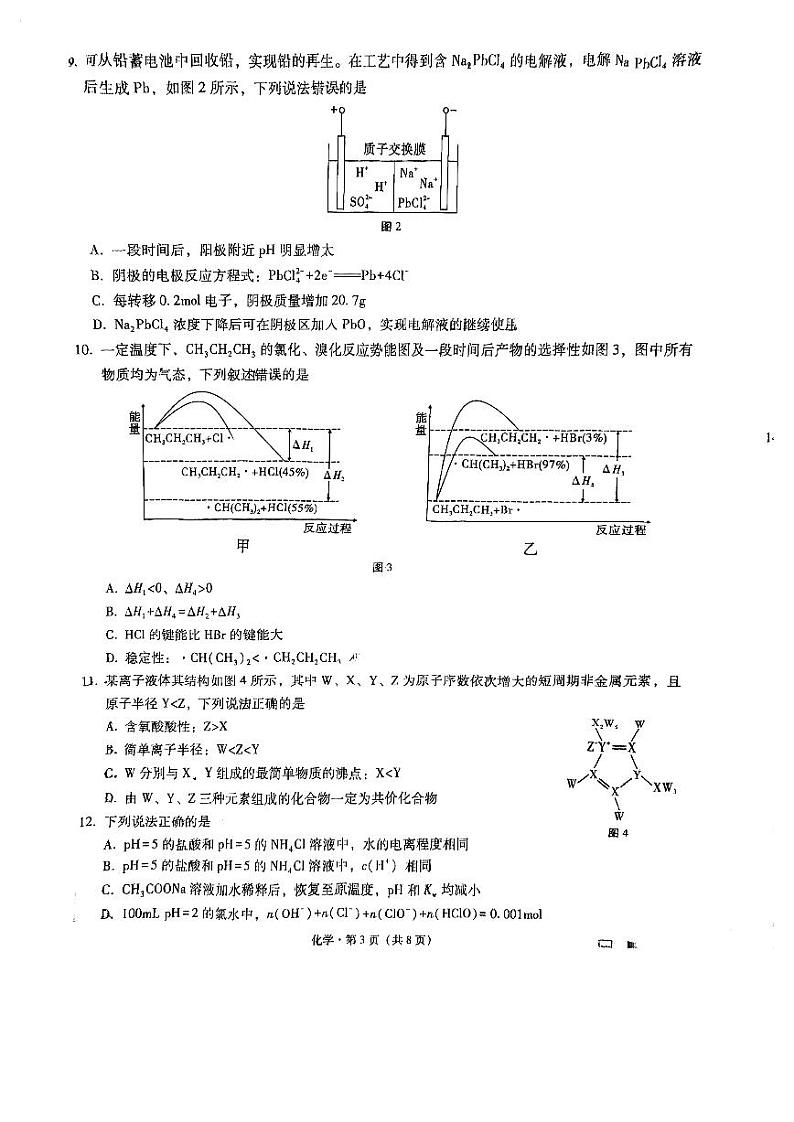 重庆市巴蜀中学2025届高考适应性月考卷（一）化学+答案第3页