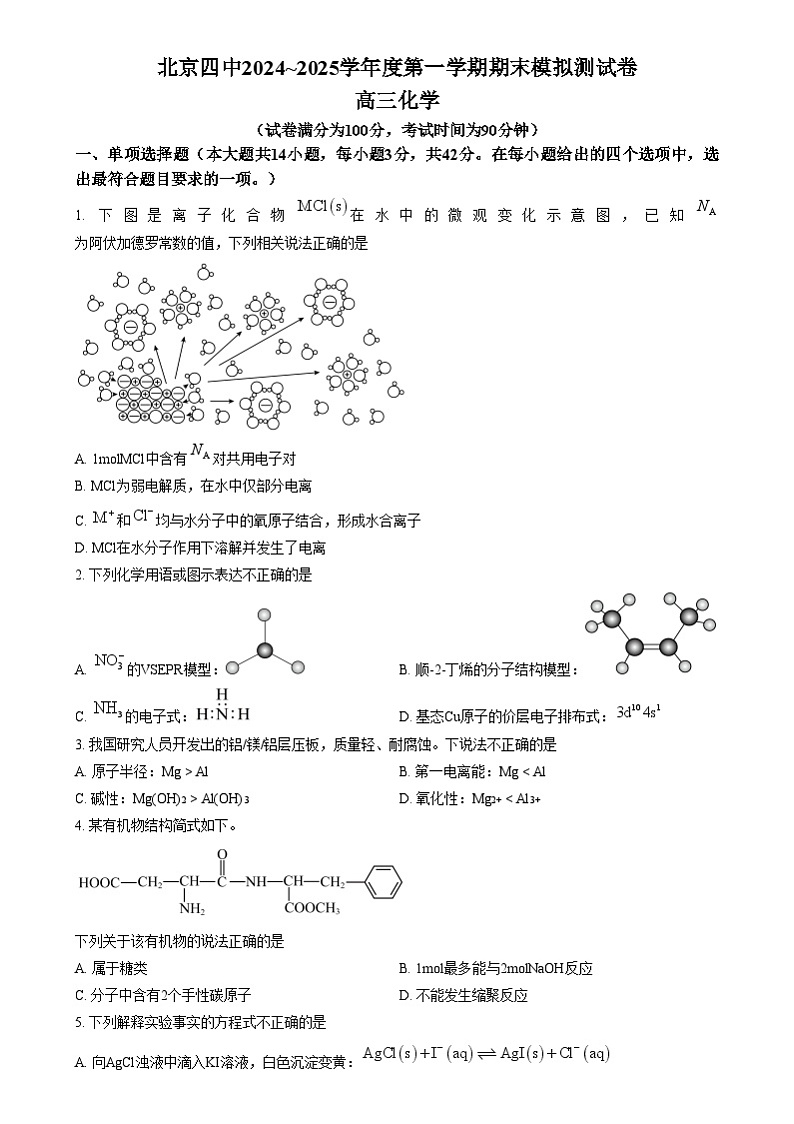 北京四中2024-2025学年高三上学期期末模拟测试化学试题  Word版无答案第1页