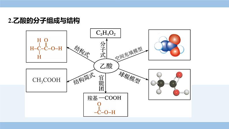 高中化学人教版（2019）必修二7.3.2  乙酸  课件第5页