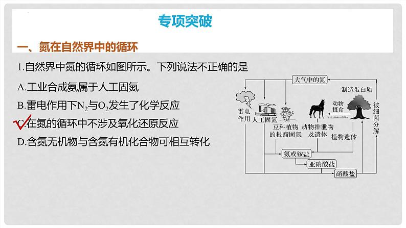 第25讲 氮及其化合物的转化关系 2024高考化学一轮复习高频考点精讲（新教材新高考） 课件第6页