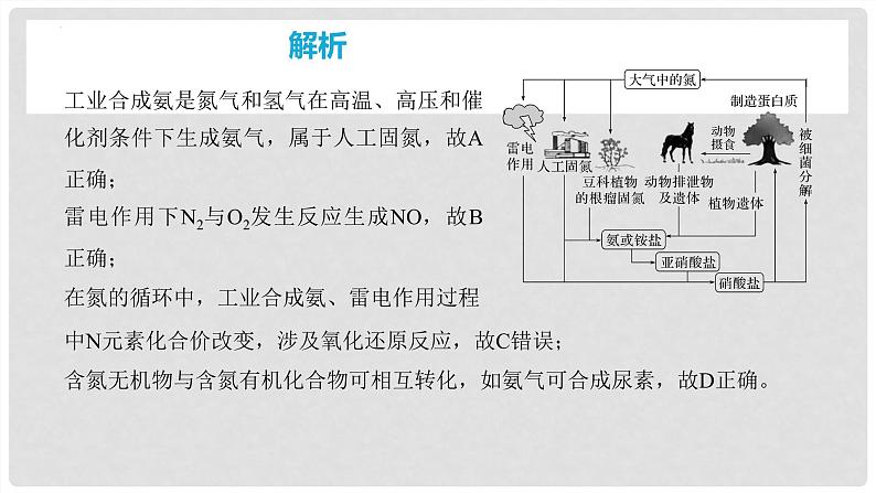 第25讲 氮及其化合物的转化关系 2024高考化学一轮复习高频考点精讲（新教材新高考） 课件第7页