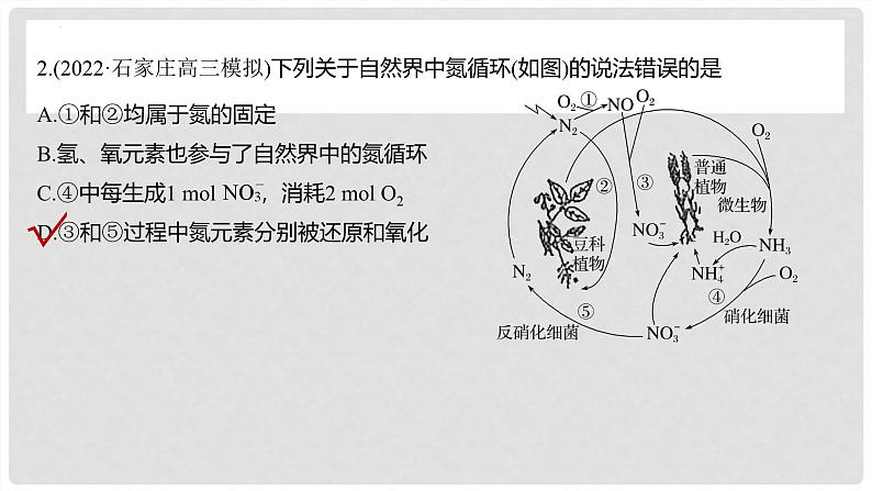 第25讲 氮及其化合物的转化关系 2024高考化学一轮复习高频考点精讲（新教材新高考） 课件第8页