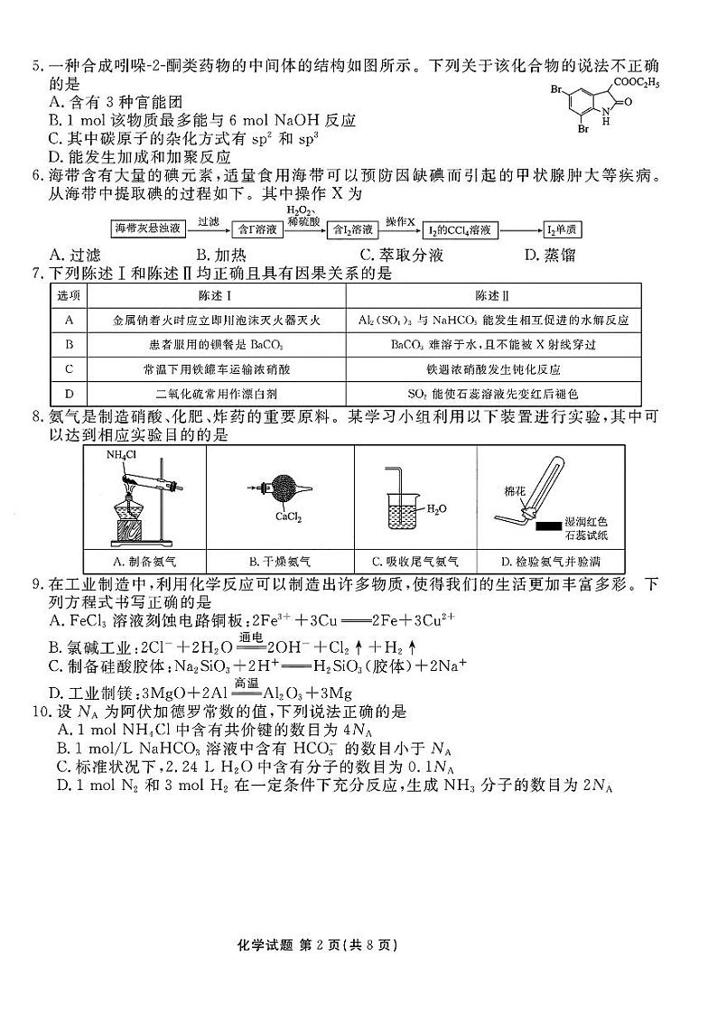 衡水金卷2025届高三上学期期末联考化学+答案第2页