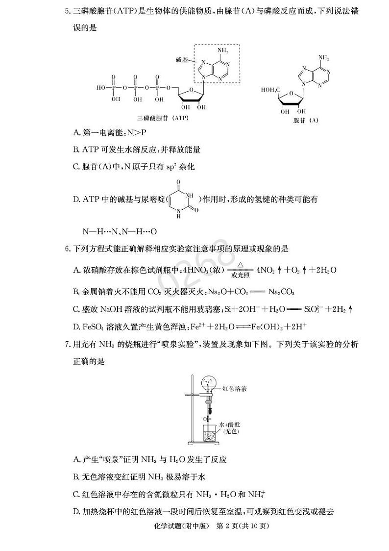 湖南省长沙市湖南师范大学附属中学2024-2025学年高三上学期第五次月考化学试卷+答案第2页