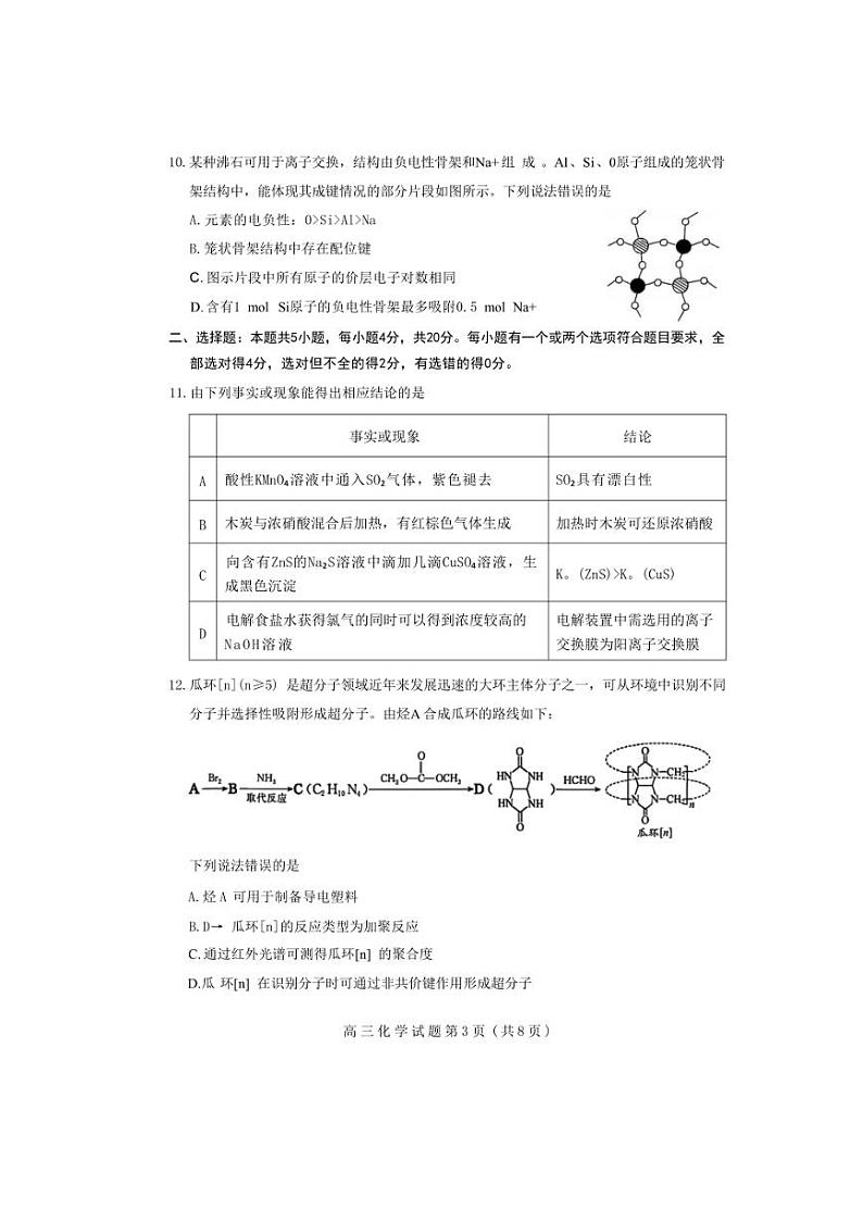 2024～2025学年山东省济南市高三上1月期末考试化学试卷(含答案)第3页