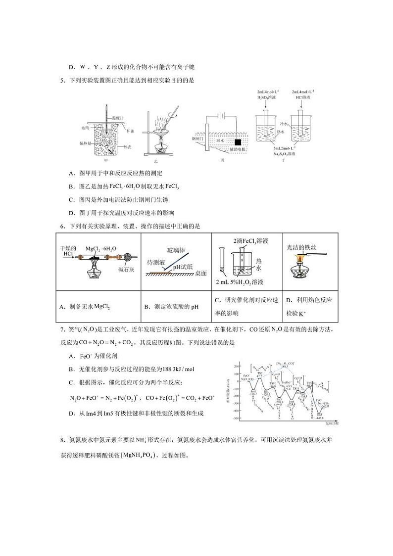 2024～2025学年山东省高二上1月期末考试化学试卷(含答案)第2页