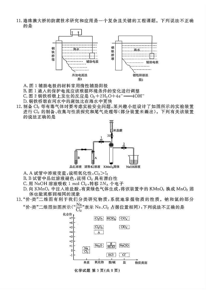 16689994第3页