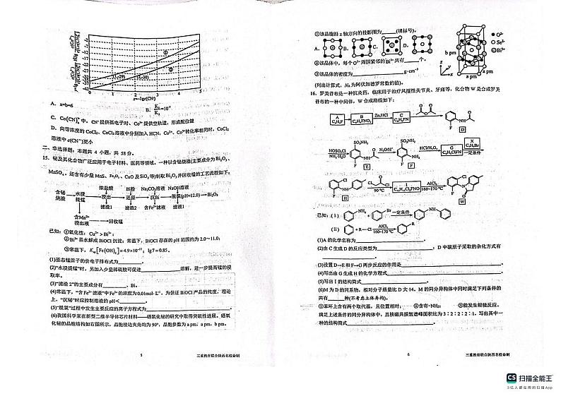 16697527第3页