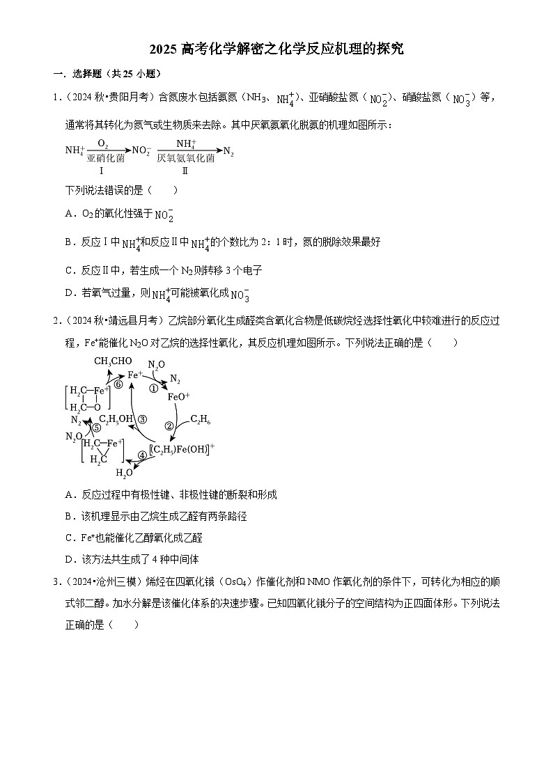 2025高考化学解密之考点篇试题 化学反应机理的探究（Word版附解析）第1页