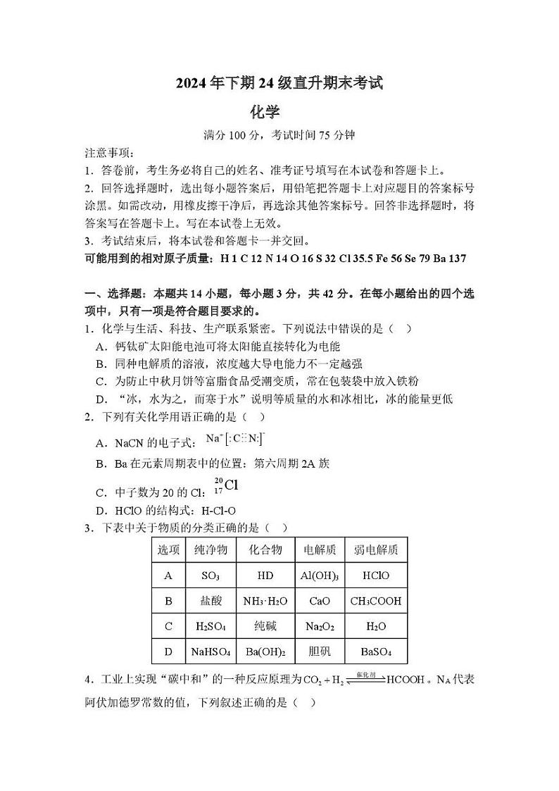 湖南省衡阳市常宁市2024-2025学年高一上学期期末考试 化学试题（直升班）第1页