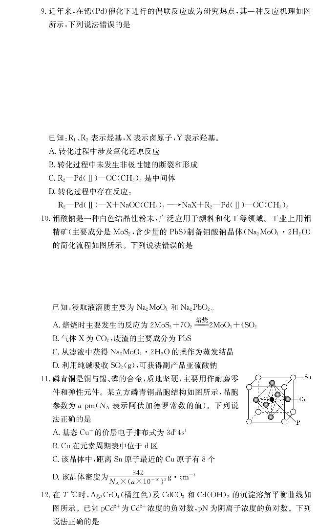炎德·英才大联考长沙市一中 2025 届高三下学期月考试卷（六）化学试卷+答案第3页