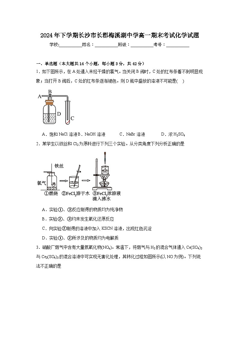 2024年下学期长沙市长郡梅溪湖中学高一期末考试化学试题第1页