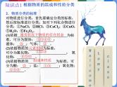 1.1物质的分类及转化 课件-2024-2025学年高一上学期人教版（2019）高中化学必修1