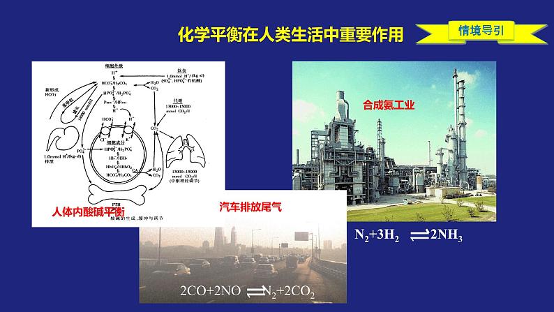 人教版高中化学选择性必修1  2-2-2 化学平衡（二） 课件第2页