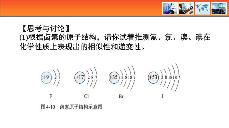 人教版高中化学必修 第一册 4-2《第4课时 卤族元素》课件第4页