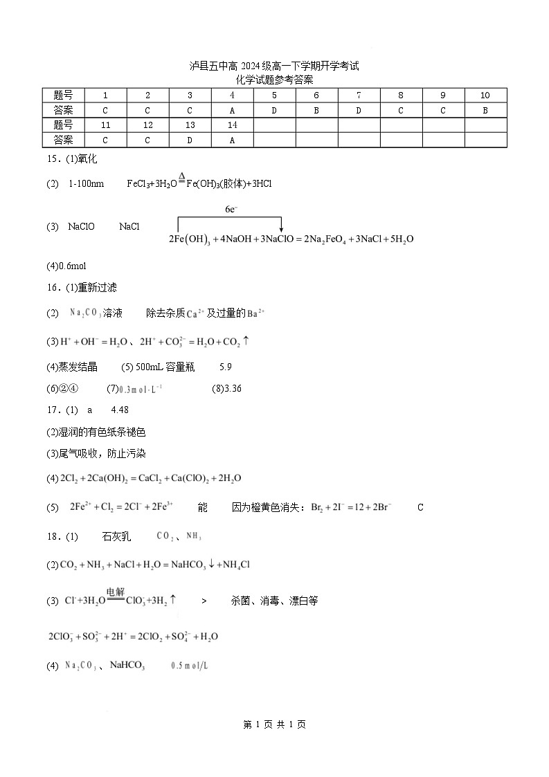 泸县五中2025年春期高一开学考试化学试题 泸县五中2025年春期高一开学考试化学试题答案第1页