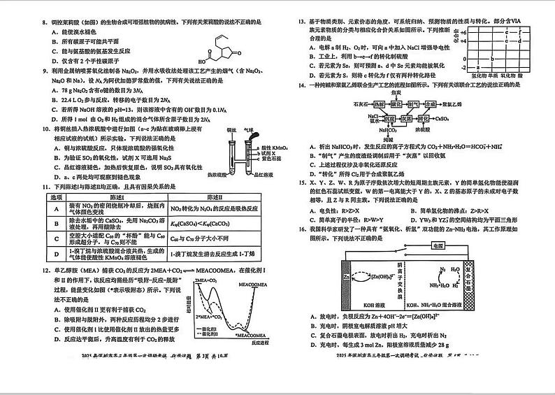2025届广东省深圳市高三下学期第一次调研考试 化学试题第2页