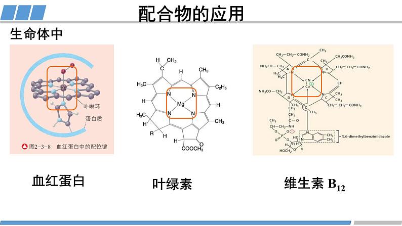 人教版高中化学 选择性必修2《3-4-2 配合物与超分子》课件第4页