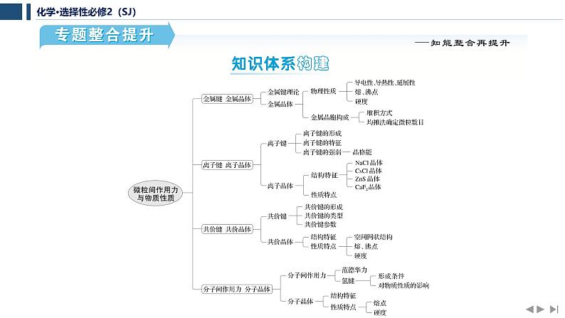 专题3　微粒间作用力与物质性质  专题整合提升   课件  2025年高中化学 选择性必修2 （苏教版2019）第2页