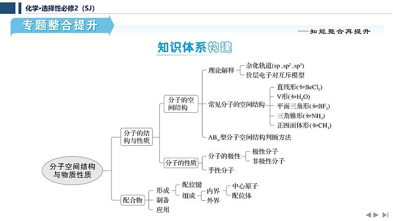 专题4　分子空间结构与物质性质  专题整合提升   课件  2025年高中化学 选择性必修2 （苏教版2019）第2页