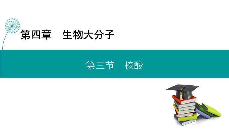 人教版高中化学选修3 4-3《核酸》课件第1页